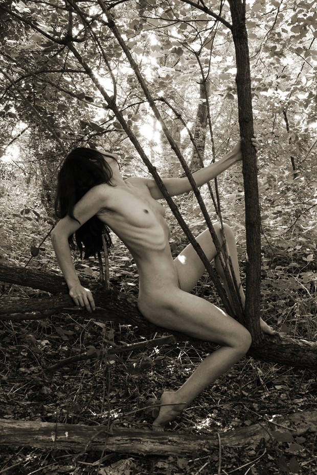 Tree harp Artistic Nude Photo by Model Rose Valentina