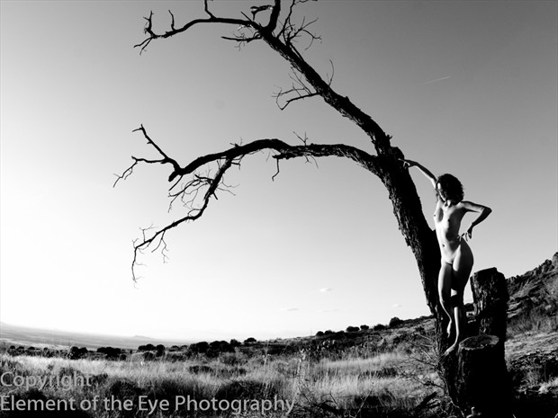 Tree in New Mexico Artistic Nude Artwork by Photographer Charles Armstrong