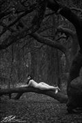 Trixie at Indian Lake State Forest, Ocala Artistic Nude Photo by Photographer PDBreske Photography
