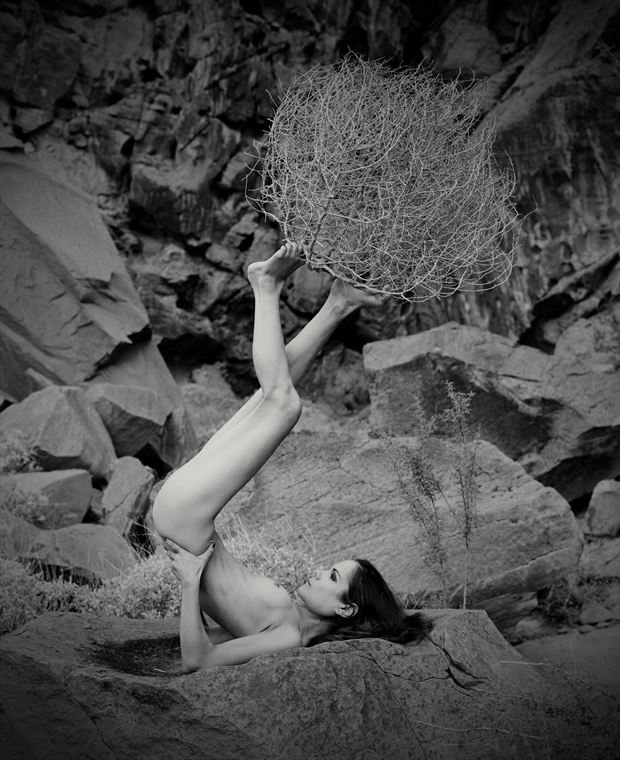 Tumbleweed Artistic Nude Photo by Photographer Christopher Ryan