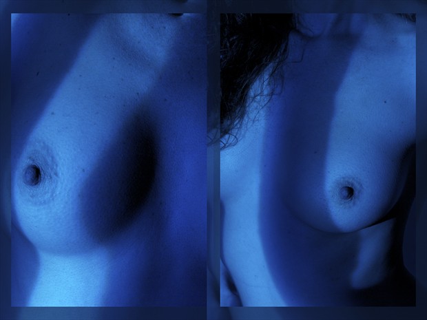 Two Studies Diptych Artistic Nude Photo by Photographer Mark Bigelow