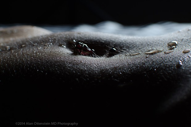 Umbilicus Artistic Nude Photo by Photographer AOPhotography