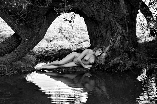 Under the Bough Artistic Nude Photo by Photographer Karen Jones