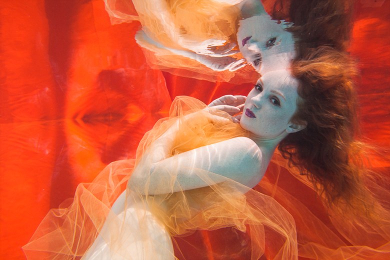 Underwater Dreaming IX Surreal Photo by Photographer Christopher Meredith