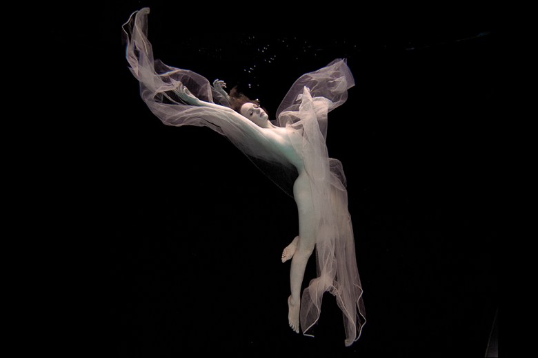 Underwater Dreaming VI Surreal Photo by Photographer Christopher Meredith