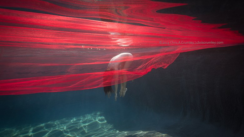 Underwater Nude with Red Sheer Artistic Nude Photo by Photographer anguschristopher