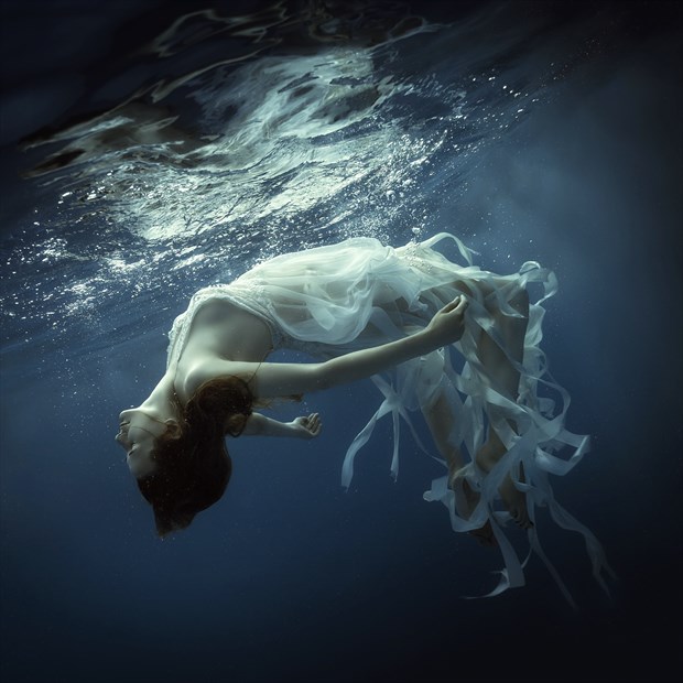 Underwater dreams Nature Photo by Photographer dml