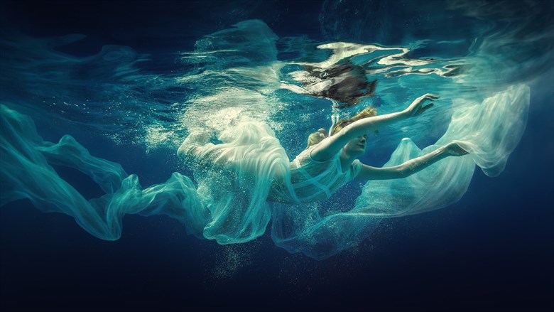 Underwater fairy tale Nature Photo by Photographer dml