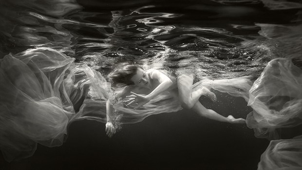Underwater symphony Artistic Nude Photo by Photographer dml