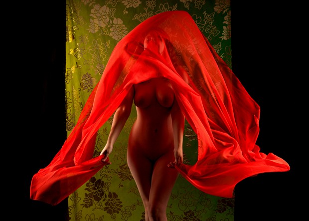 Unrevealed Artistic Nude Photo by Model Arshae Morningstar