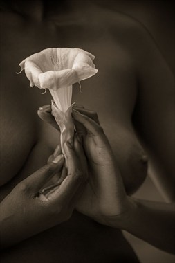 Untitled, image %2315 Artistic Nude Photo by Photographer Craig Blacklock