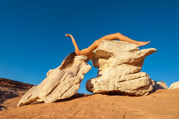 Untitled %2341 Artistic Nude Photo by Photographer Craig Blacklock