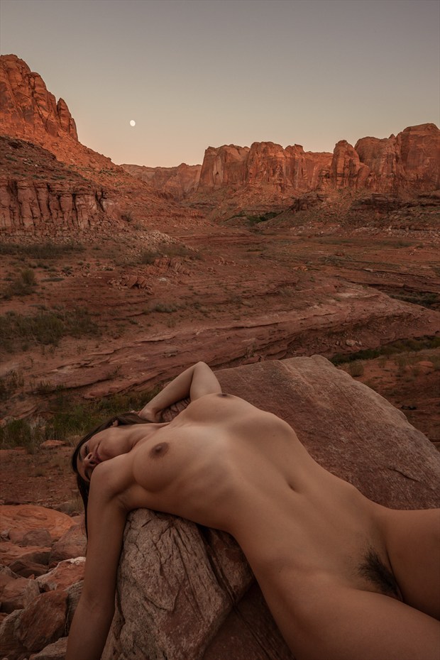 Untitled %2348 Artistic Nude Photo by Photographer Craig Blacklock