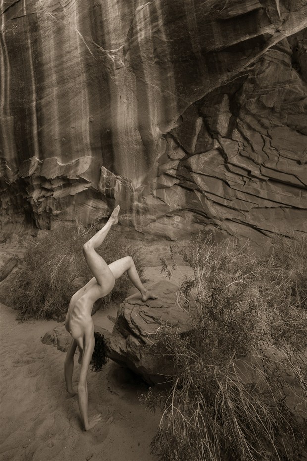 Untitled %2351 Artistic Nude Photo by Photographer Craig Blacklock