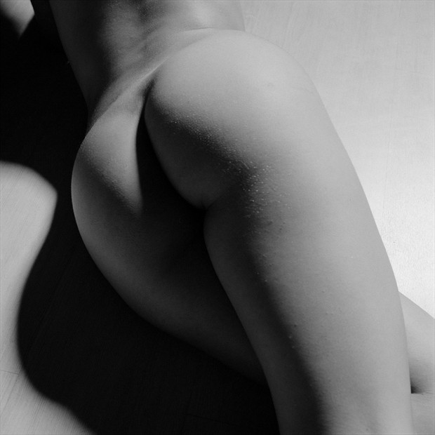 Untitled (Renee) Artistic Nude Photo by Photographer George Pitts