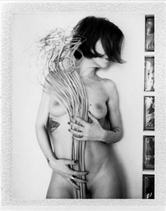 Untitled99 Artistic Nude Photo by Photographer Aliocha Merker