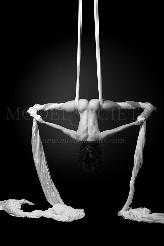 Upside down silks Artistic Nude Photo by Photographer AmyxPhotography