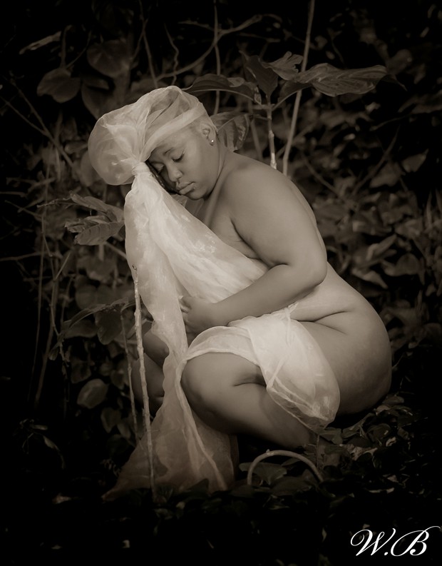 VOLUPTE Artistic Nude Photo by Photographer PlenitudePhotography