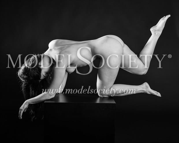 Vaunt Artistic Nude Photo by Photographer Mass Photo Guy