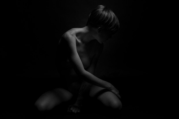Vedego Artistic Nude Artwork by Photographer Fr%C3%A9d%C3%A9ric Desch%C3%AAnes