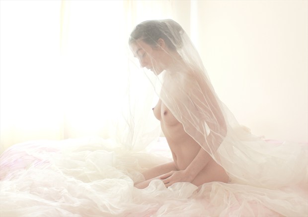 Veil of confidence Artistic Nude Photo by Model Rose Valentina