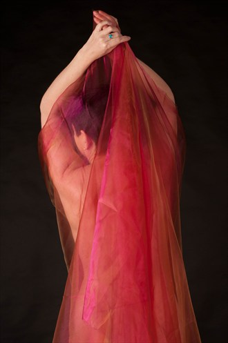 Veiled Delight Artistic Nude Photo by Photographer Deekesn