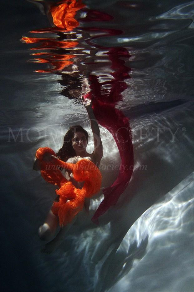 Vibrantly Submerged Surreal Photo by Photographer R. Scott Anderson