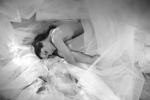 Viktoria Rest In Tulle Artistic Nude Photo by Photographer Omorphy