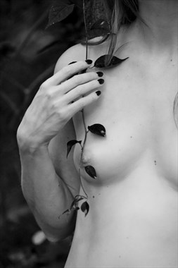 Vine, Hand and Breast Artistic Nude Photo by Photographer Peter Le Grand