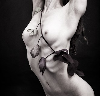 Vine Artistic Nude Photo by Photographer lancepatrickimages
