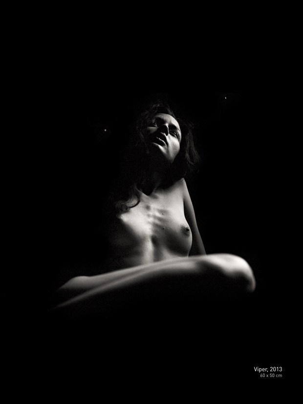 Viper Artistic Nude Photo by Photographer Karen Labarck
