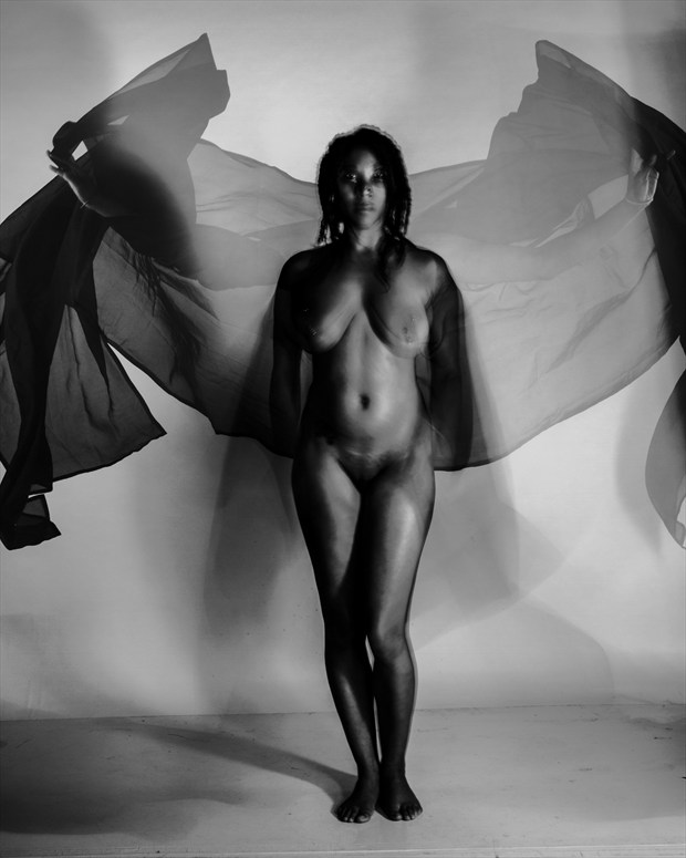 WINGS OF AN ANGLE   P D S.R Artistic Nude Artwork by Photographer VisualVibe