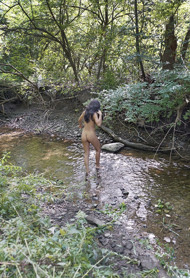 Wading into forest stream Artistic Nude Photo by Photographer Larry