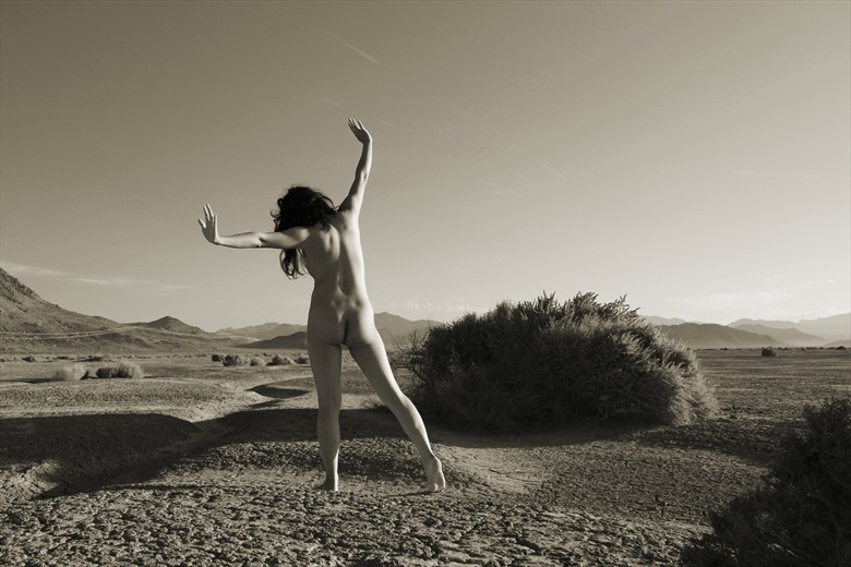 Walking On Sunshine Artistic Nude Photo by Photographer David Winge