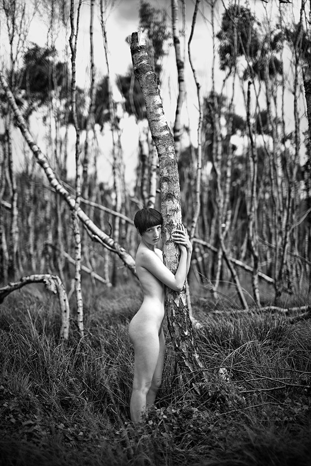 Waltzing Artistic Nude Photo by Photographer profilepictures