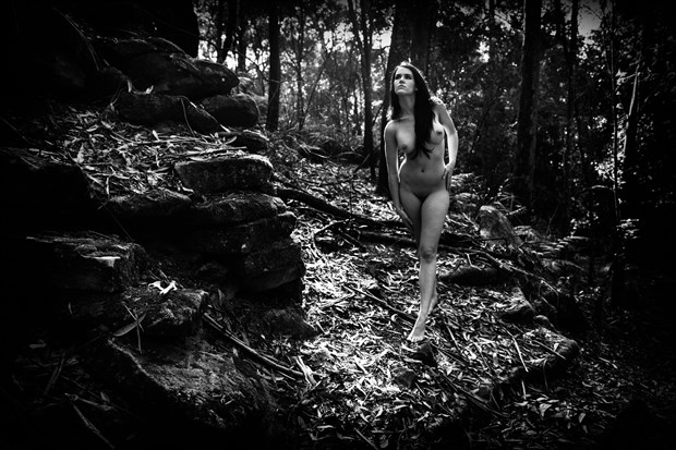 Wandering Through the Bush Artistic Nude Photo by Photographer Stephen Wong