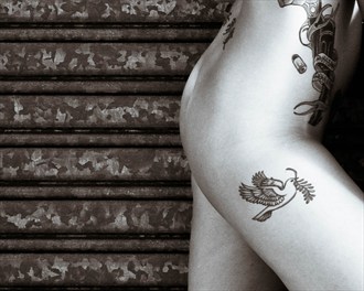 War And Peace Implied Nude Photo by Photographer Q Imagery