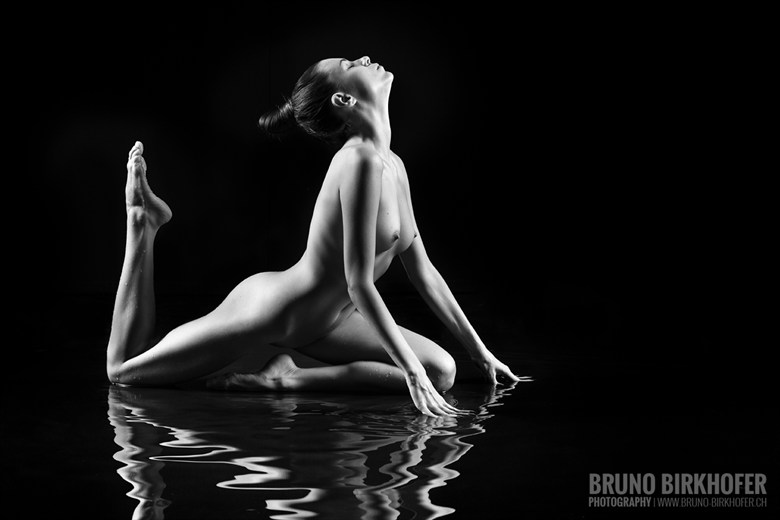 Water Lily II Artistic Nude Photo by Photographer Bruno Birkhofer