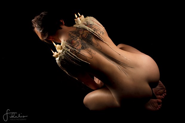 Wax wings Artistic Nude Photo by Photographer Fidelio