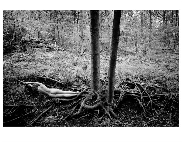 Well Rooted Artistic Nude Photo by Photographer GaryMPhoto