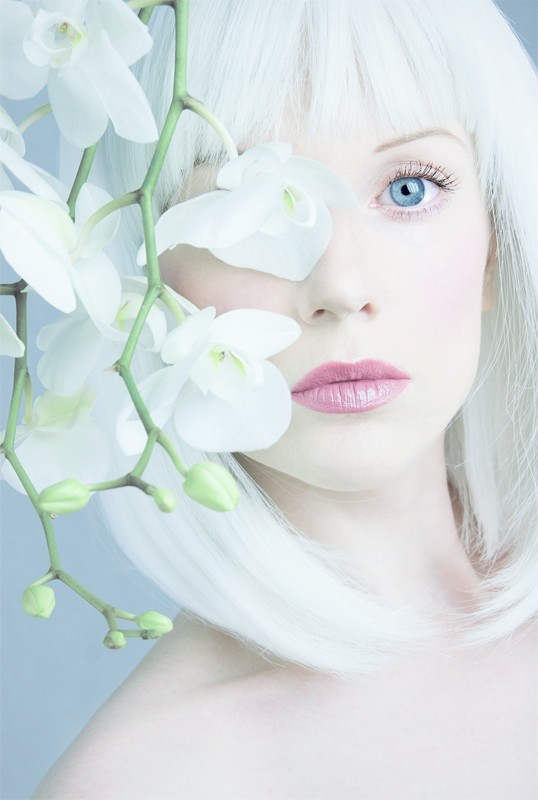 White Orchid Close Up Photo by Model Muse
