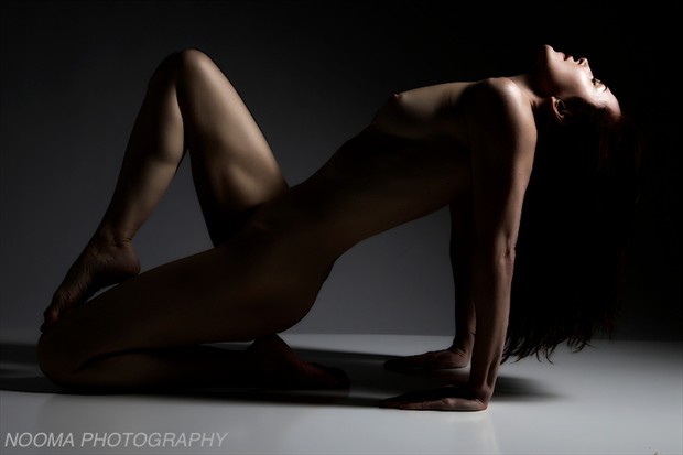 Whiteboard beauty %234 Artistic Nude Photo by Photographer Nooma Photography
