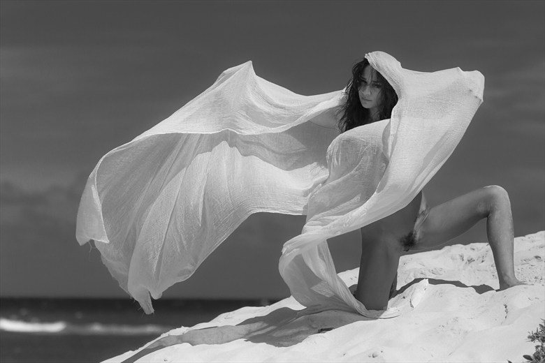 Wind Dance Artistic Nude Photo by Photographer Opp_Photog