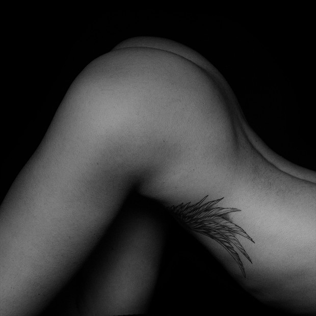 Wing Artistic Nude Photo by Photographer Claudio Vignola