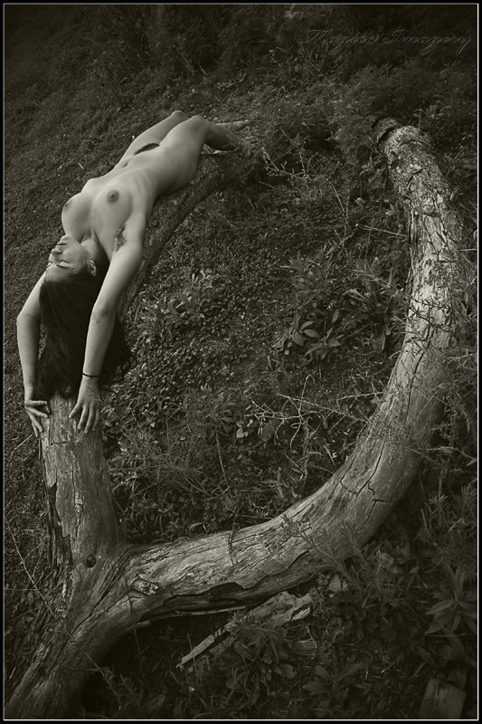 Wishbone Artistic Nude Photo by Photographer Magicc Imagery