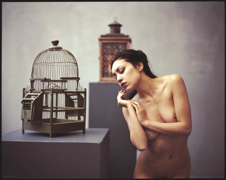 Wishes gone Artistic Nude Photo by Photographer Fabien ElleStudio