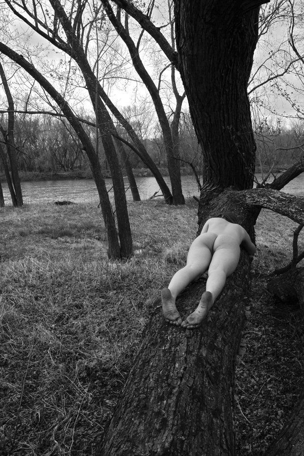 Woman on Fallen Tree. Artistic Nude Photo by Photographer Mason