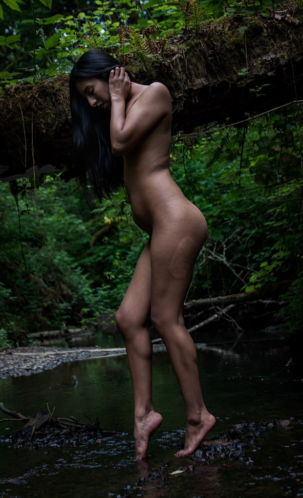 Wondering the woods  Artistic Nude Artwork by Model Shortyy