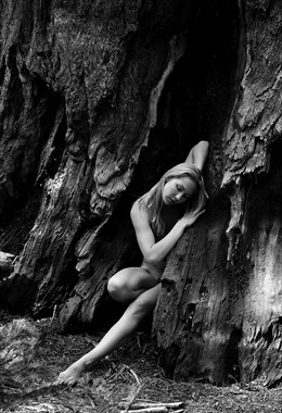 Wood Nymph Artistic Nude Photo by Photographer MSlygh