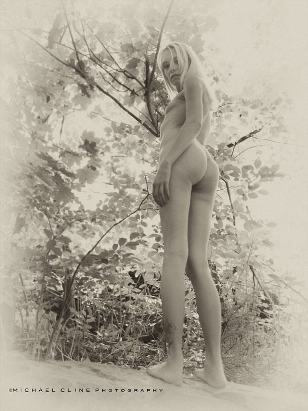 Wood Nymph Artistic Nude Photo by Photographer MichaelCPhotography